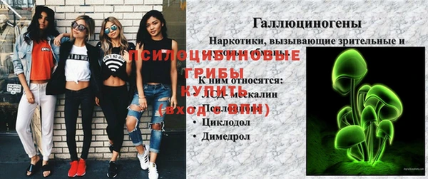марки lsd Белокуриха