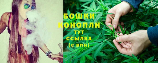 соль ск Осташков
