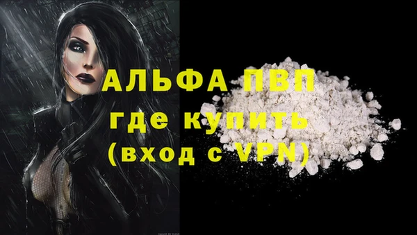спайс Беломорск