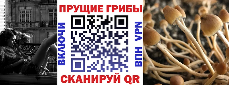 сколько стоит  Меленки  Галлюциногенные грибы ЛСД 